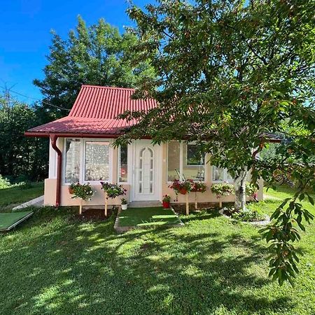 Dion Kolašin Exterior foto